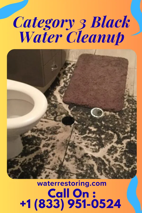 Category 3 Black Water Cleanup in Winchester, VA