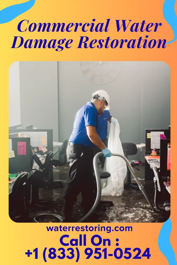 Commercial Water Damage Restoration in Winchester, VA
