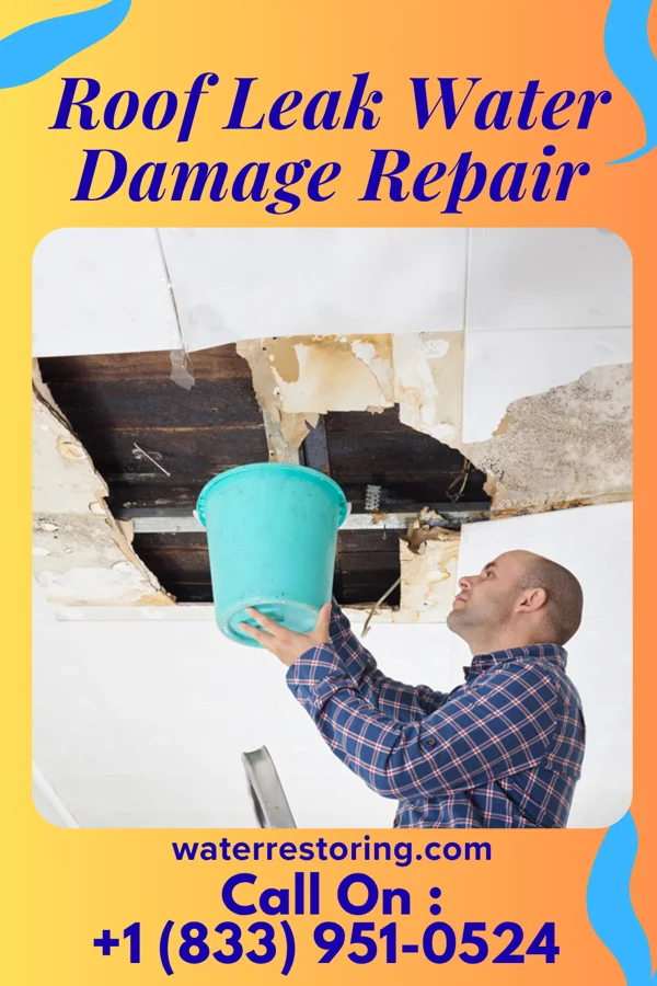 Roof Leak Water Damage Repair in Winchester, VA