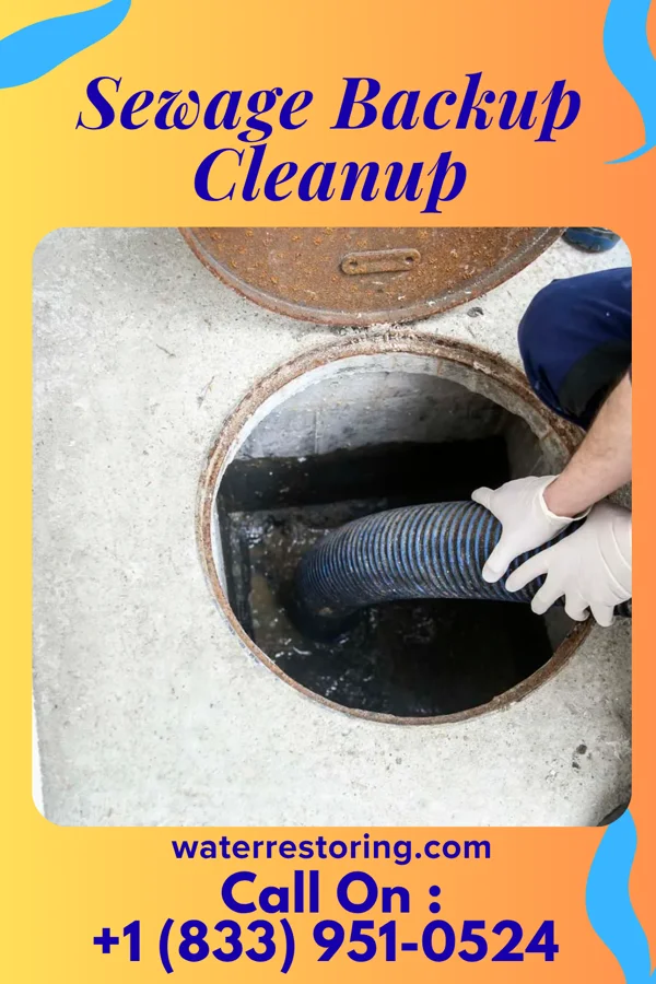 Sewage Backup Cleanup in Winchester, VA