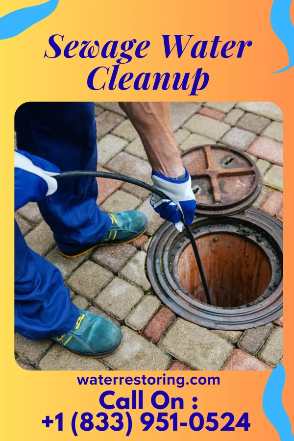 Sewage Water Cleanup in Winchester, VA