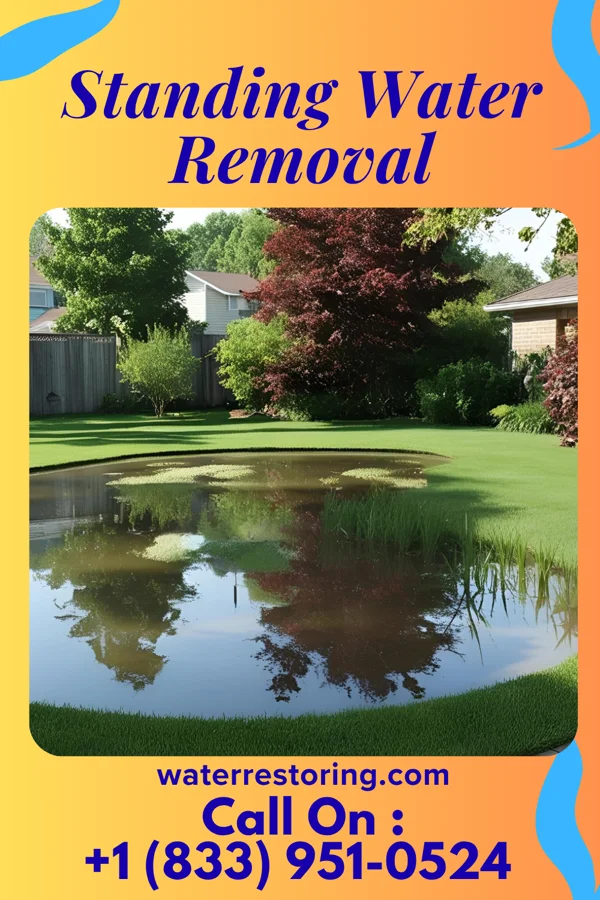 Standing Water Removal in Winchester, VA